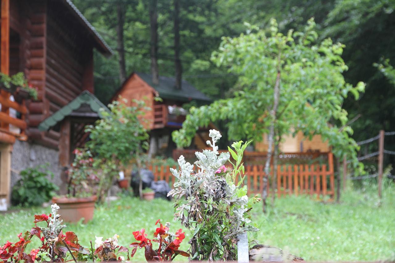 Bungalows Prokletije Gusinje Buitenkant foto